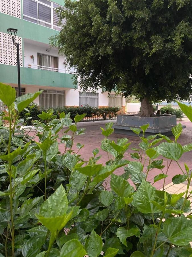 Detail Rose Apartment Puerto de la Cruz  Exterior photo