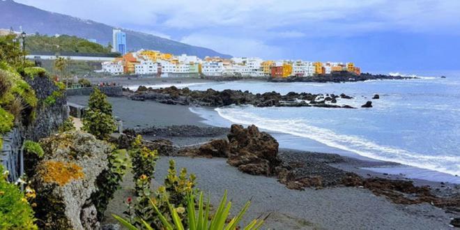 Detail Rose Apartment Puerto de la Cruz  Exterior photo